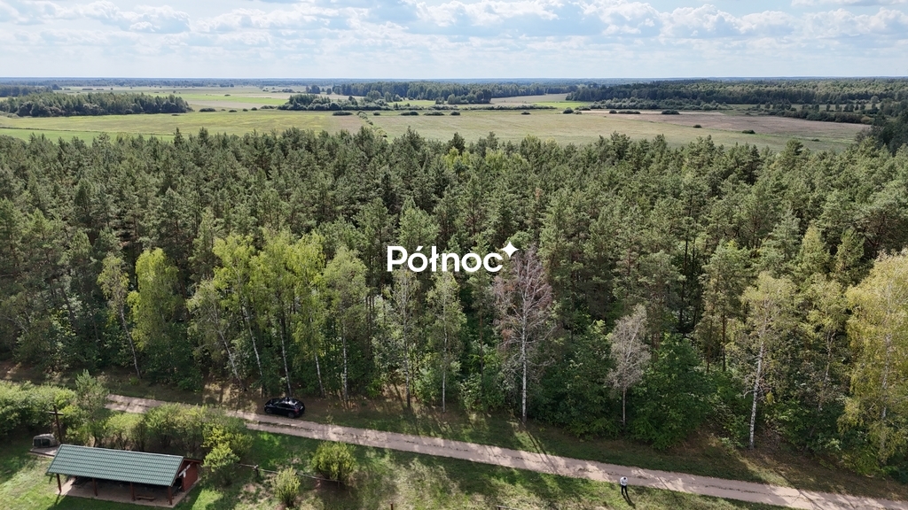 Zdjęcie 6