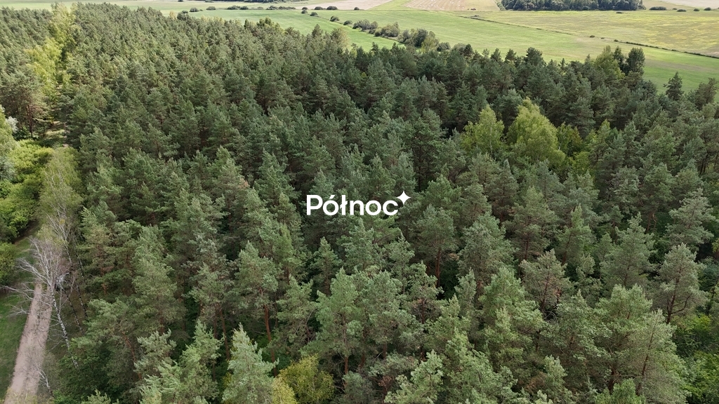 Zdjęcie 8