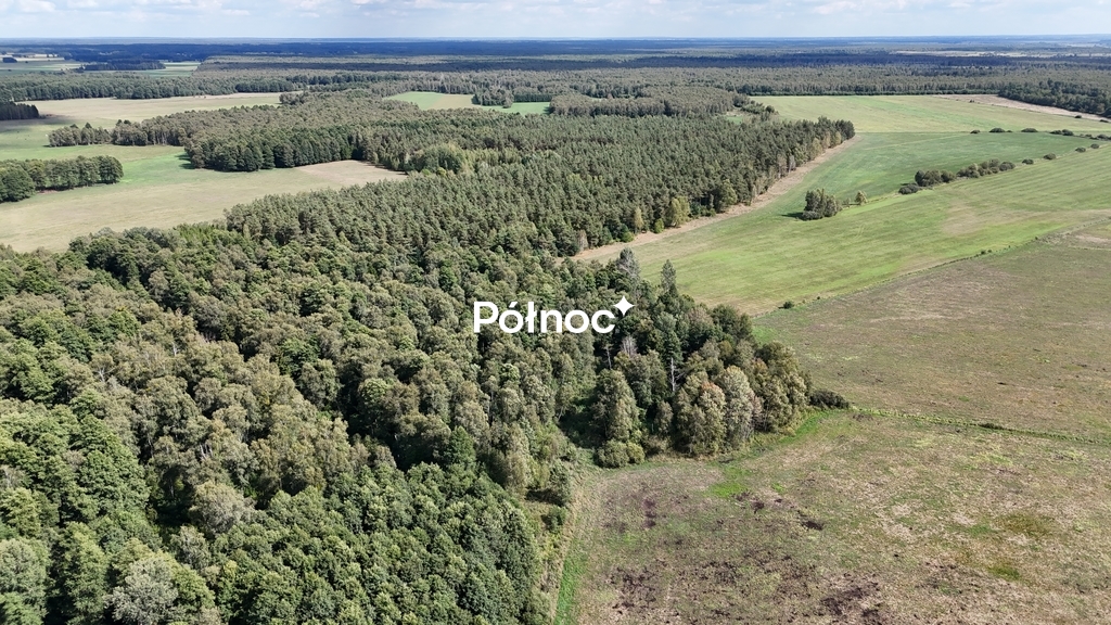 Zdjęcie 10