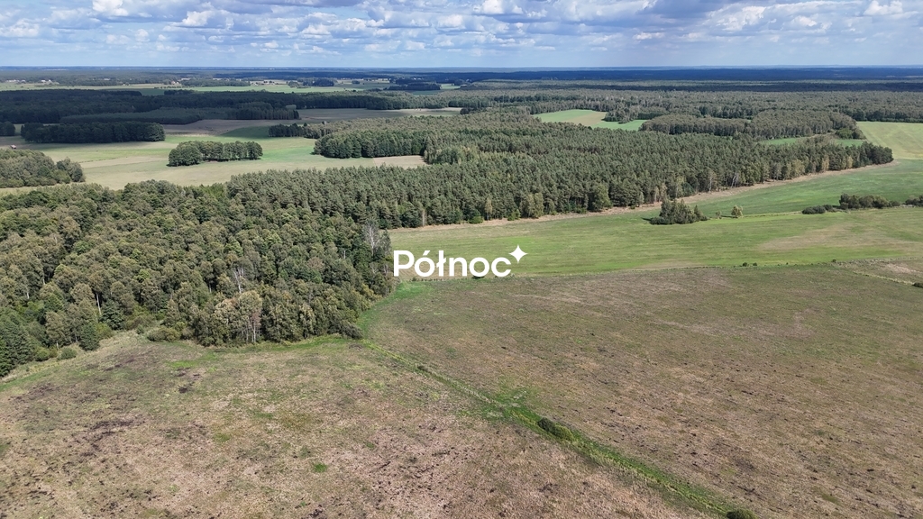 Zdjęcie 11