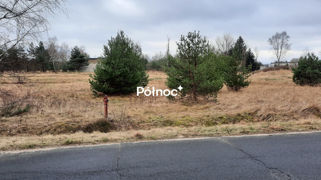 Zdjęcie 6