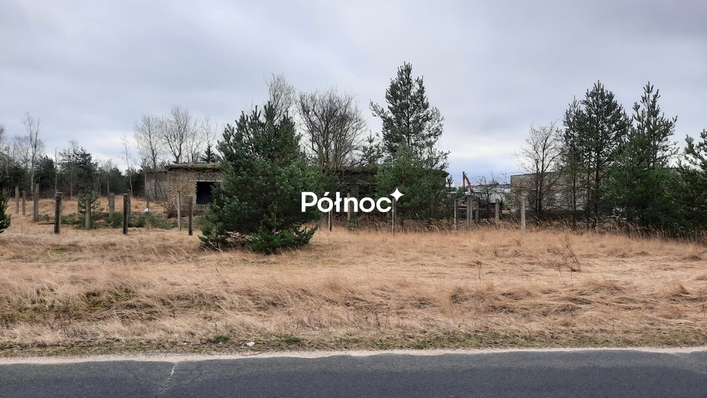 Zdjęcie 7