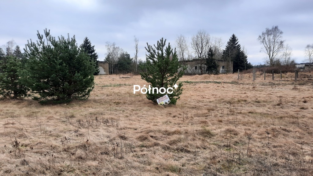 Zdjęcie 8