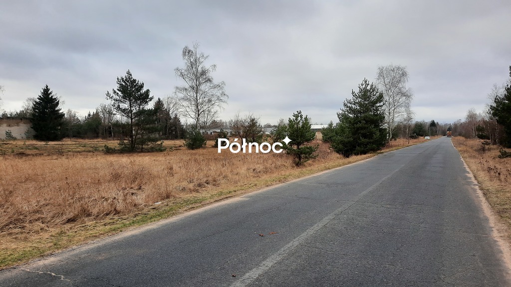 Zdjęcie 9