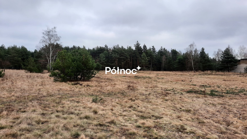 Zdjęcie 11