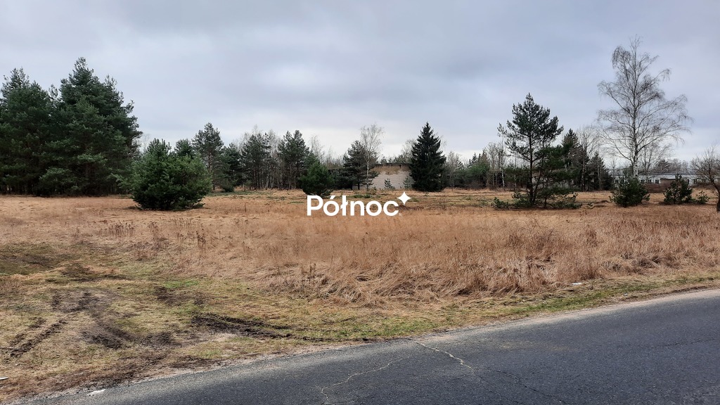 Zdjęcie 12