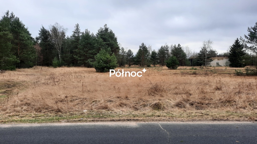 Zdjęcie 13