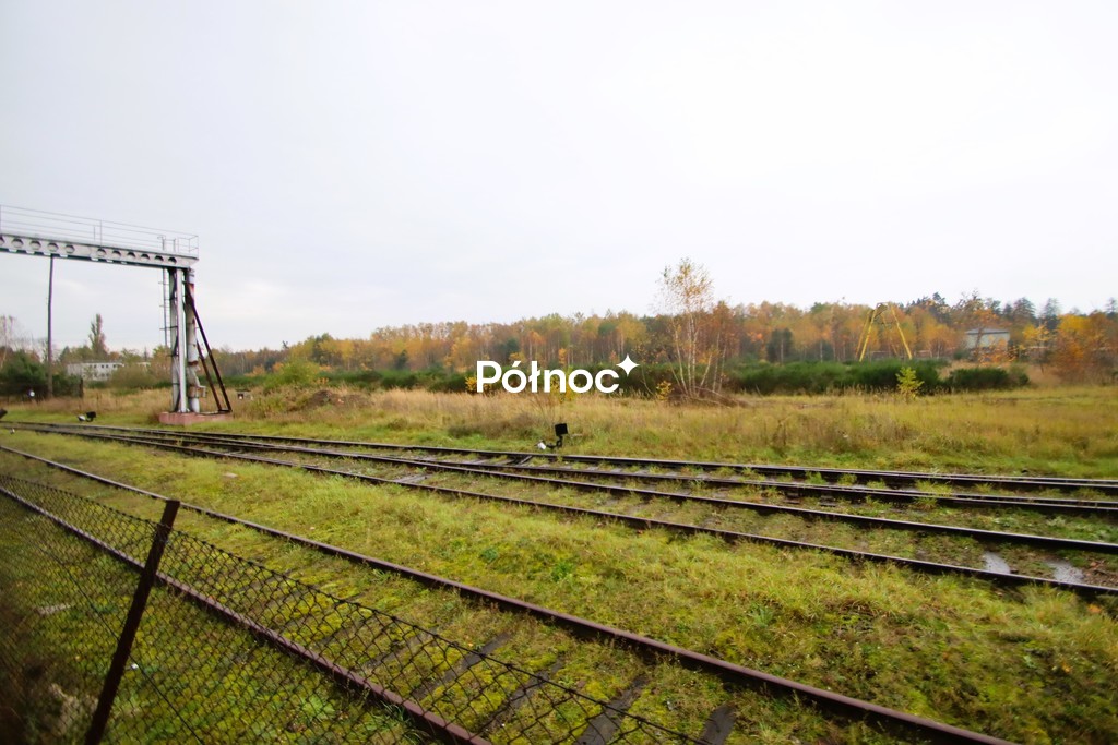 Zdjęcie 2