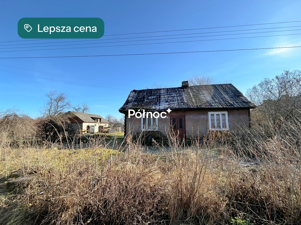 Zdjęcie 6