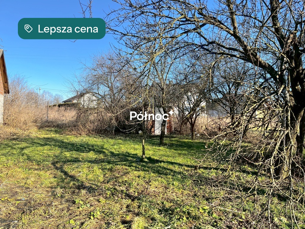 Zdjęcie 8