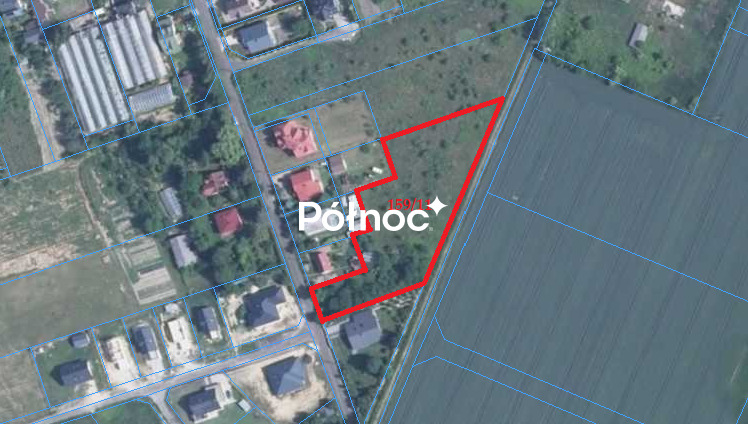 Zdjęcie 6