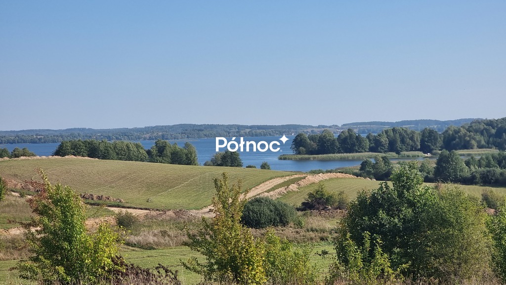 Zdjęcie 8