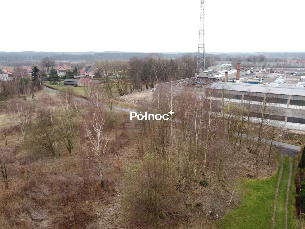 Zdjęcie 3