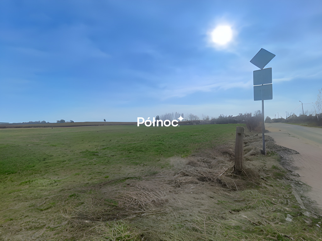 Zdjęcie 4