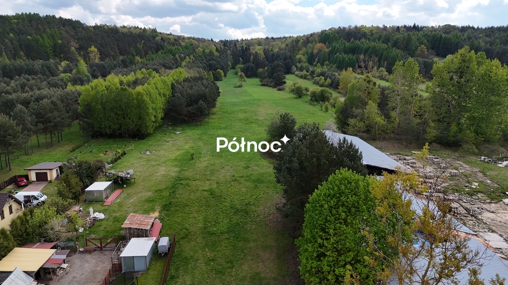 Zdjęcie 6