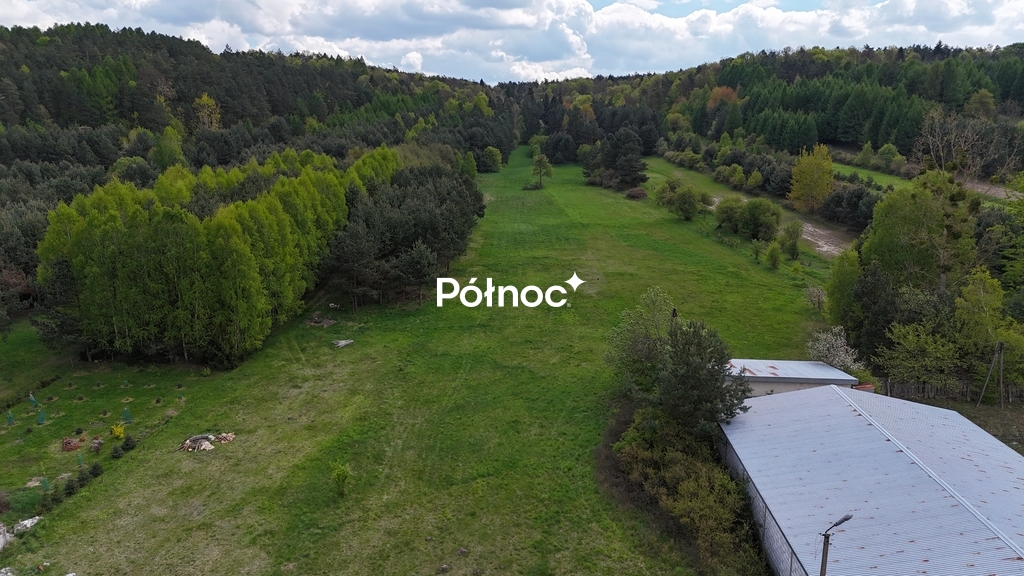 Zdjęcie 7