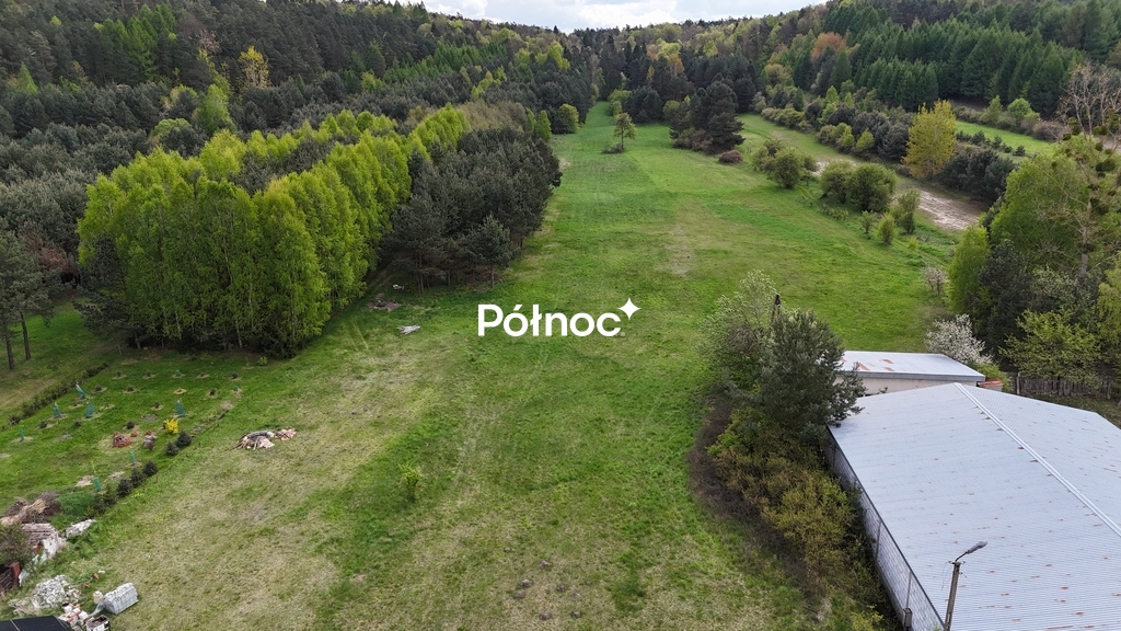 Zdjęcie 8