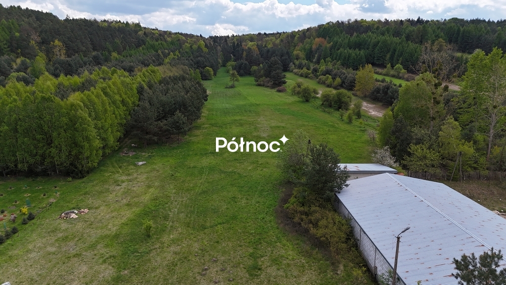 Zdjęcie 10