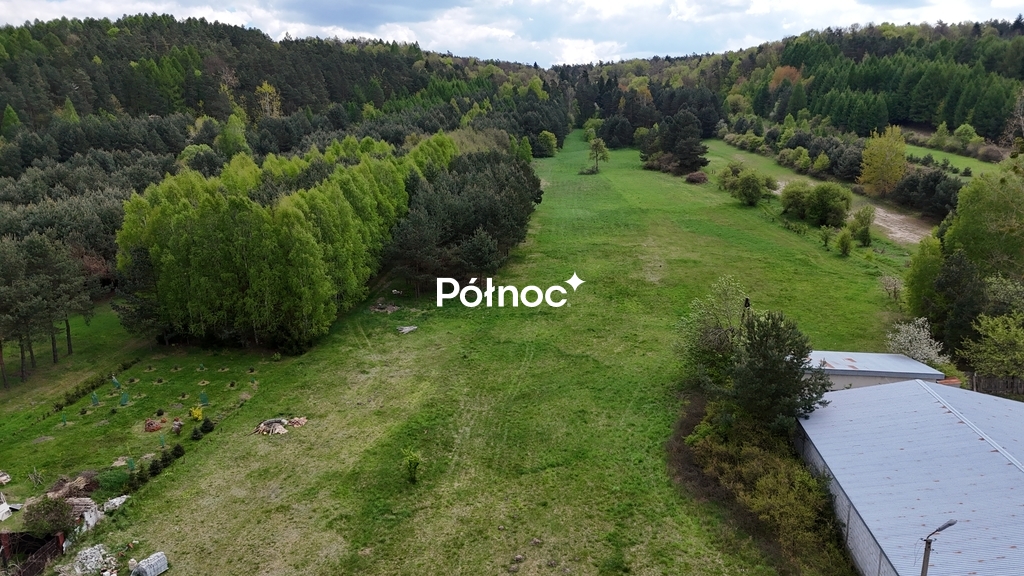 Zdjęcie 12