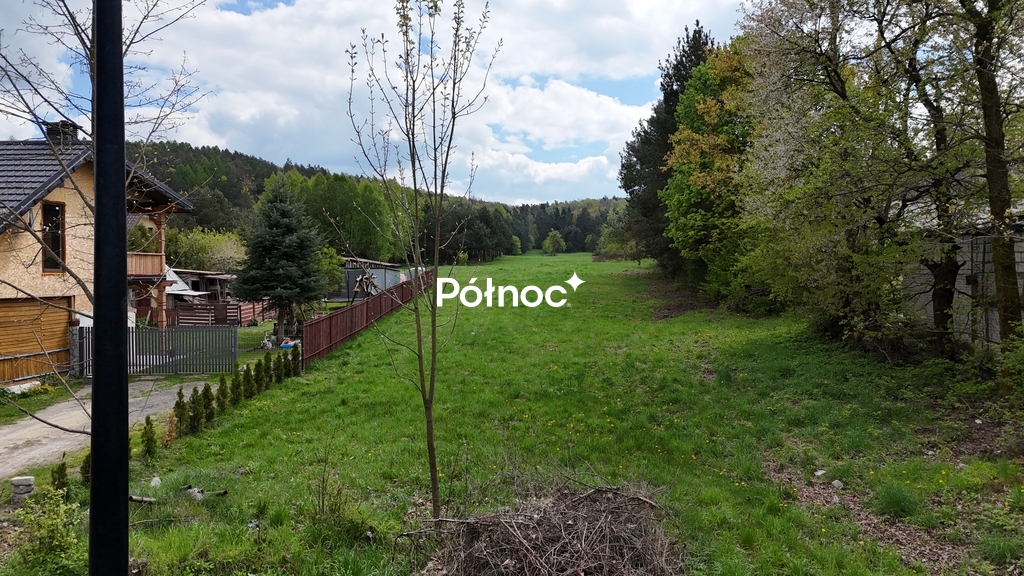 Zdjęcie 13
