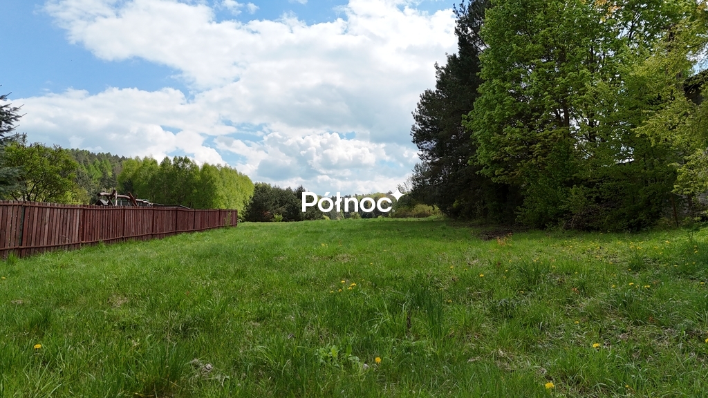 Zdjęcie 15