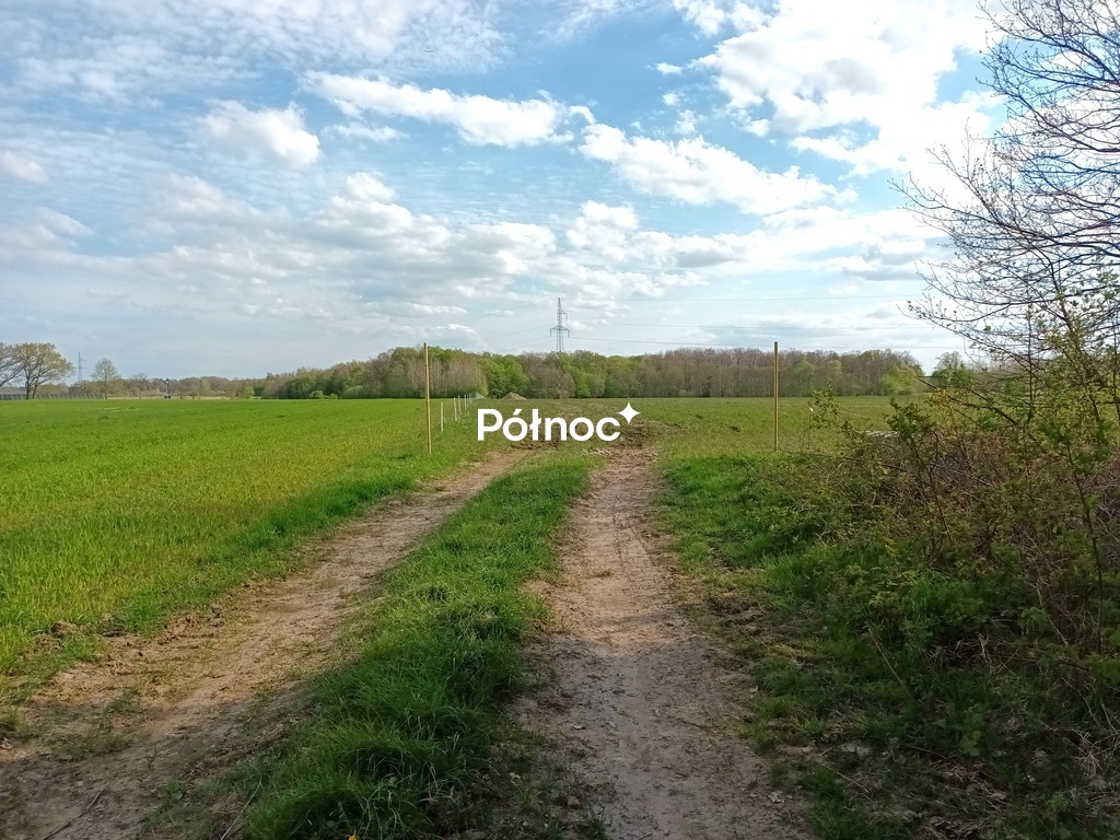 Działka siedliskowa Wodnica blisko Ustki