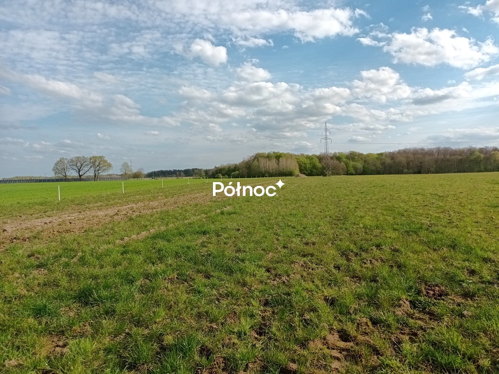 Zdjęcie 5