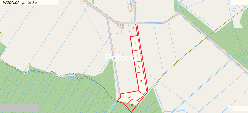 Zdjęcie 9