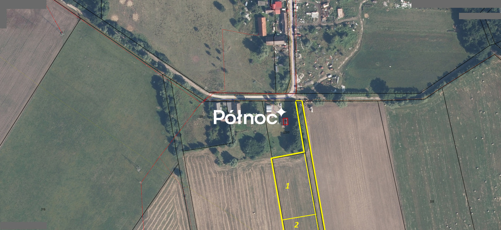 Zdjęcie 12