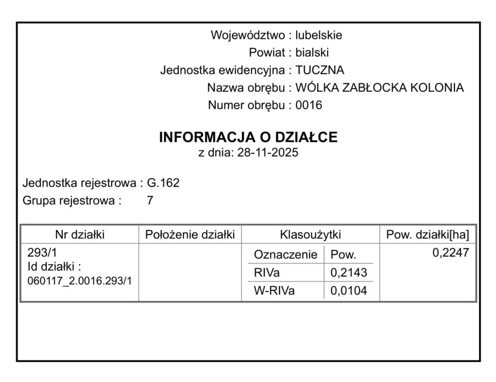 Zdjęcie 7