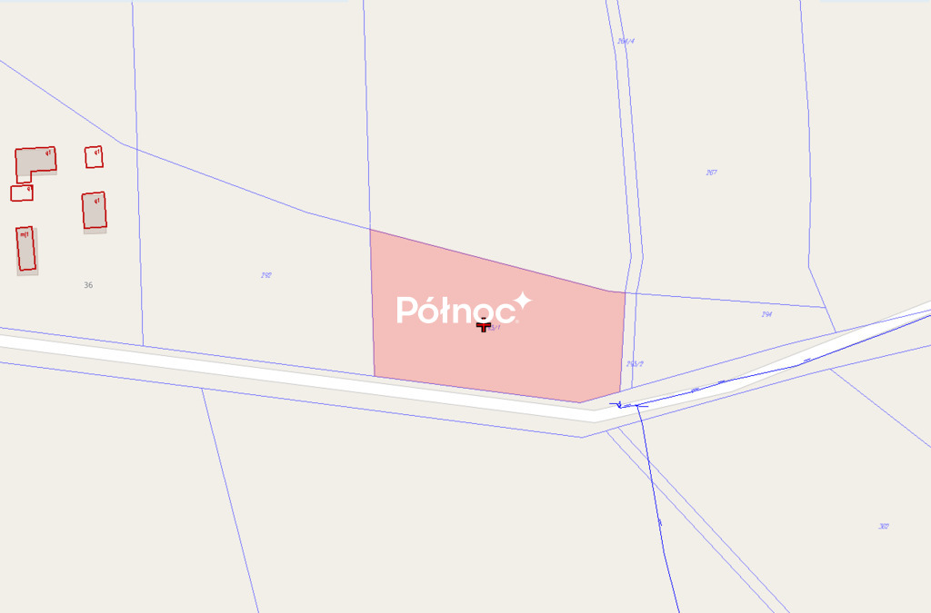 Zdjęcie 8