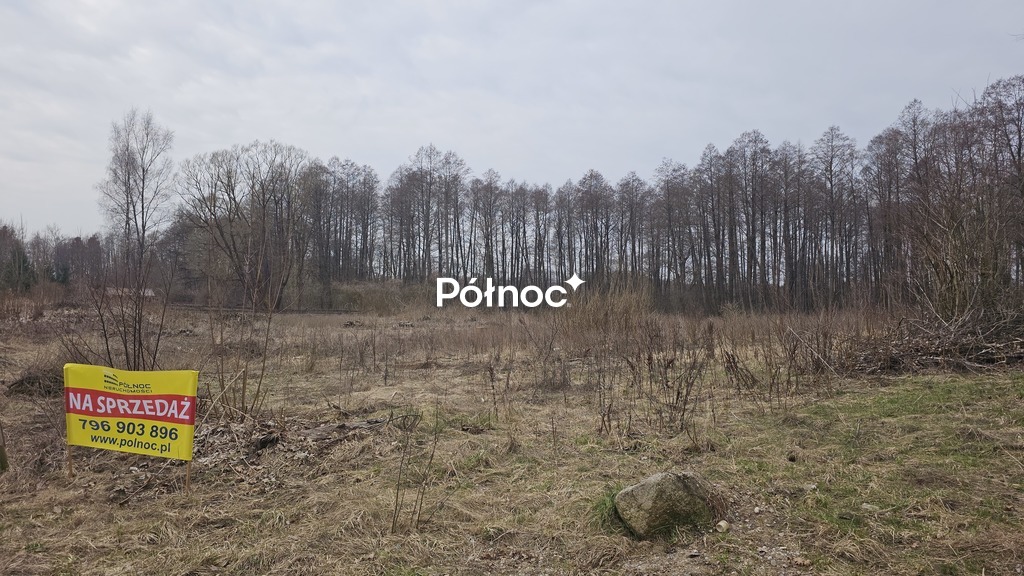 Zdjęcie 2