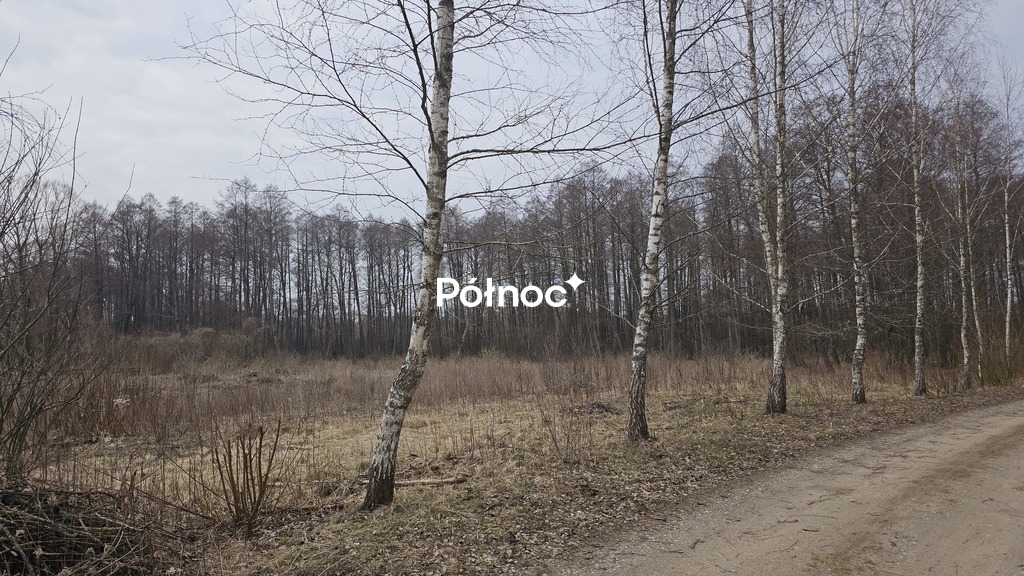 Zdjęcie 3