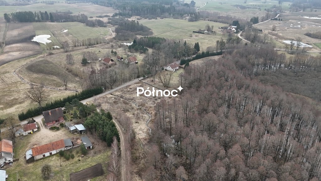 Zdjęcie 5