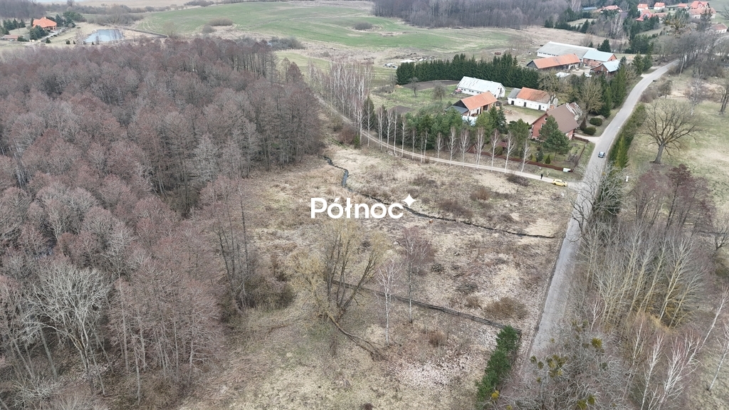 Zdjęcie 10
