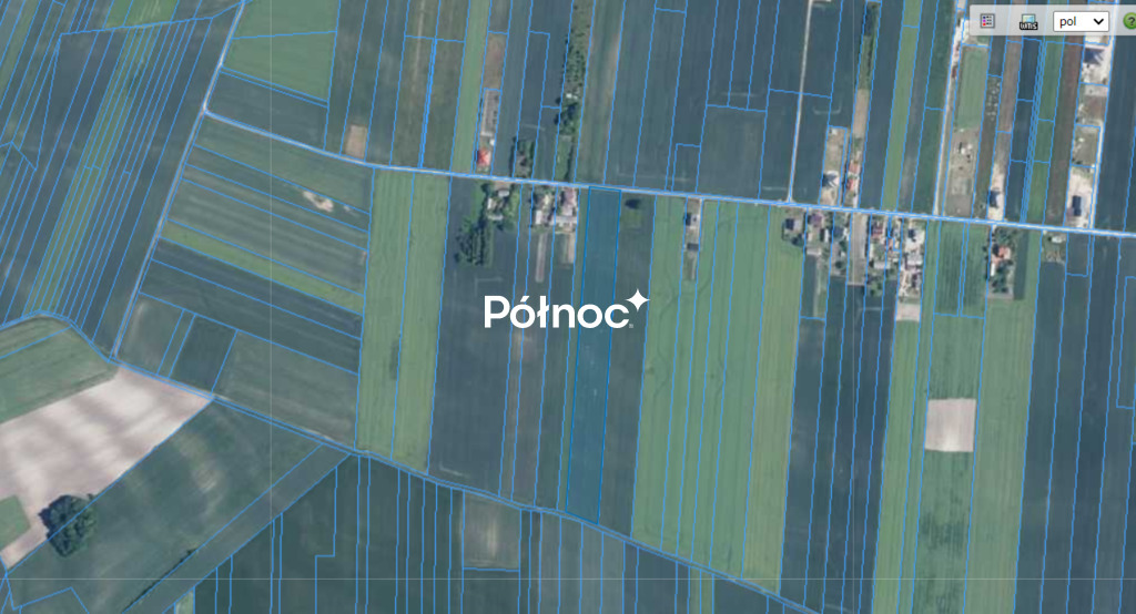 Zdjęcie 5