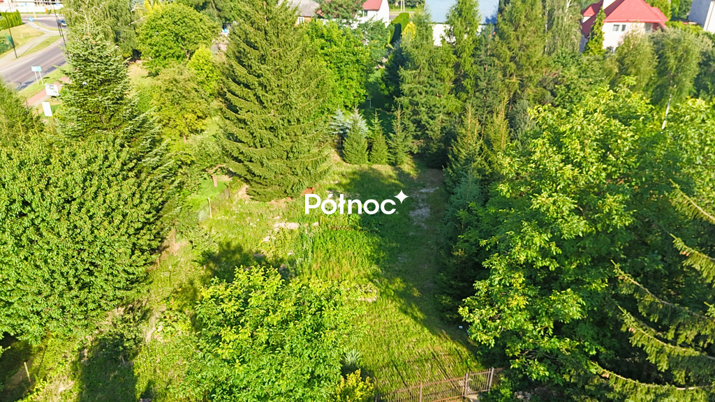 Zdjęcie 5