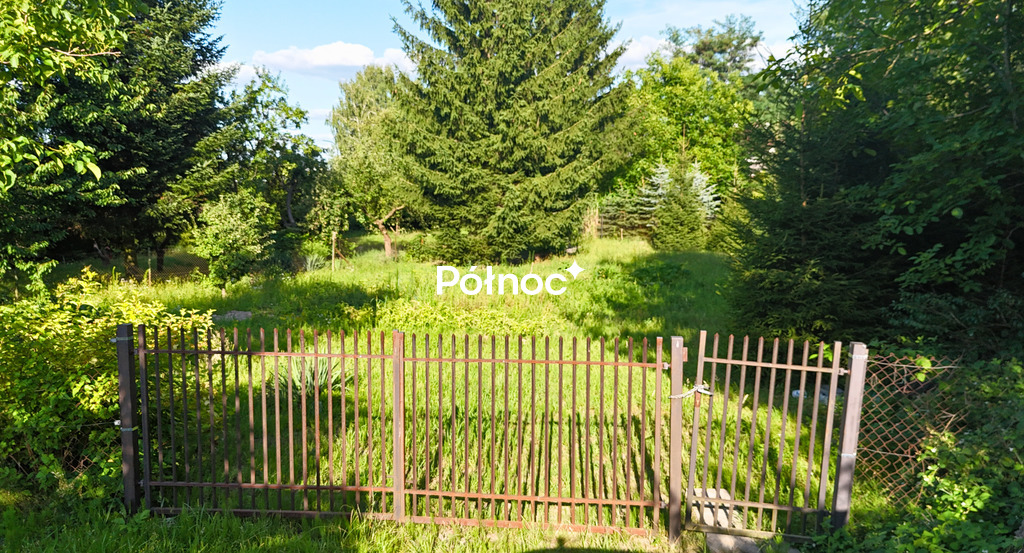 Zdjęcie 6