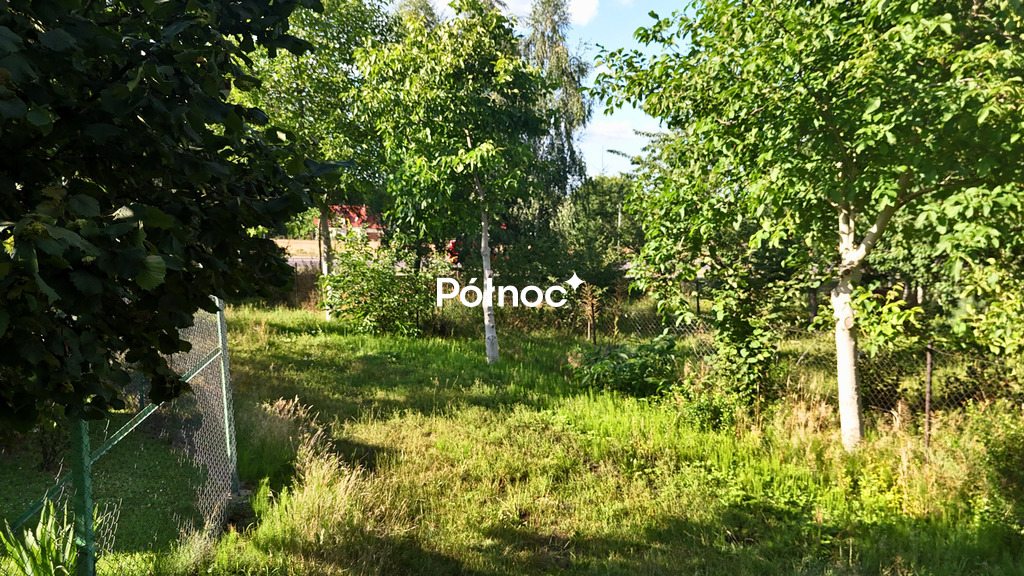 Zdjęcie 9