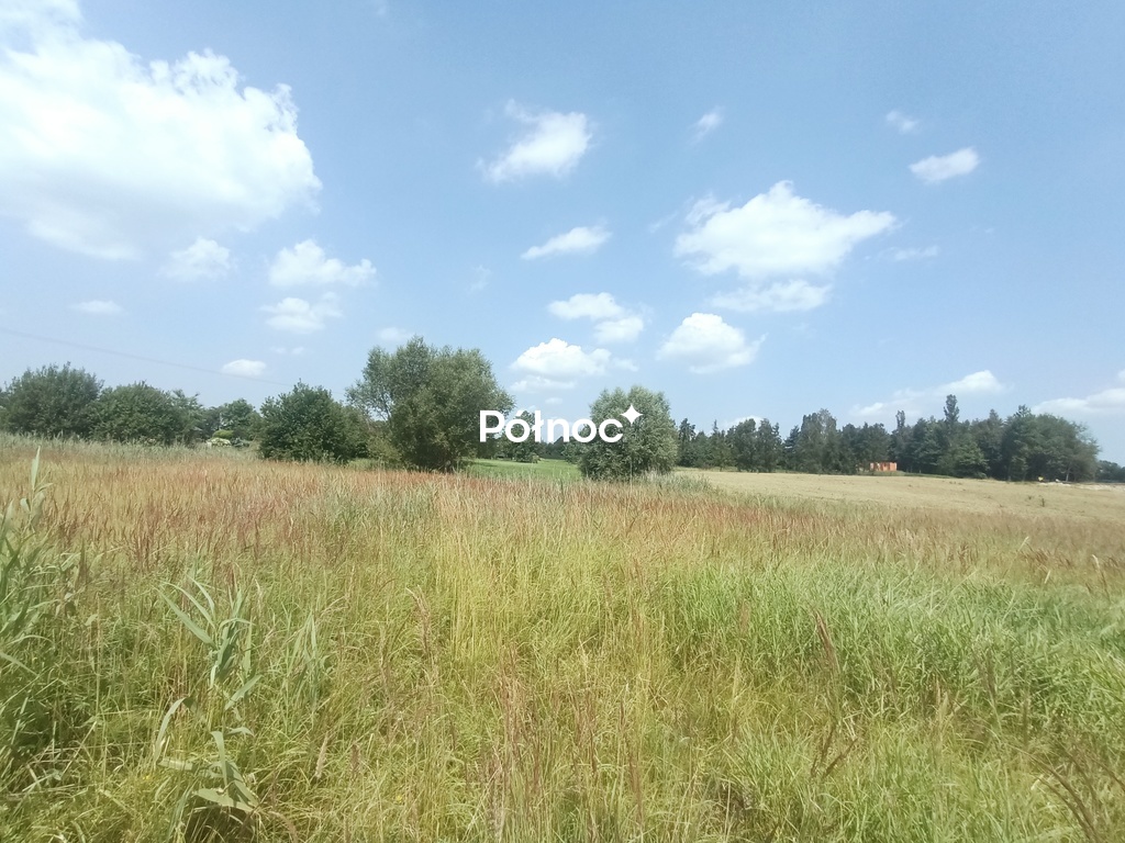 Zdjęcie 2