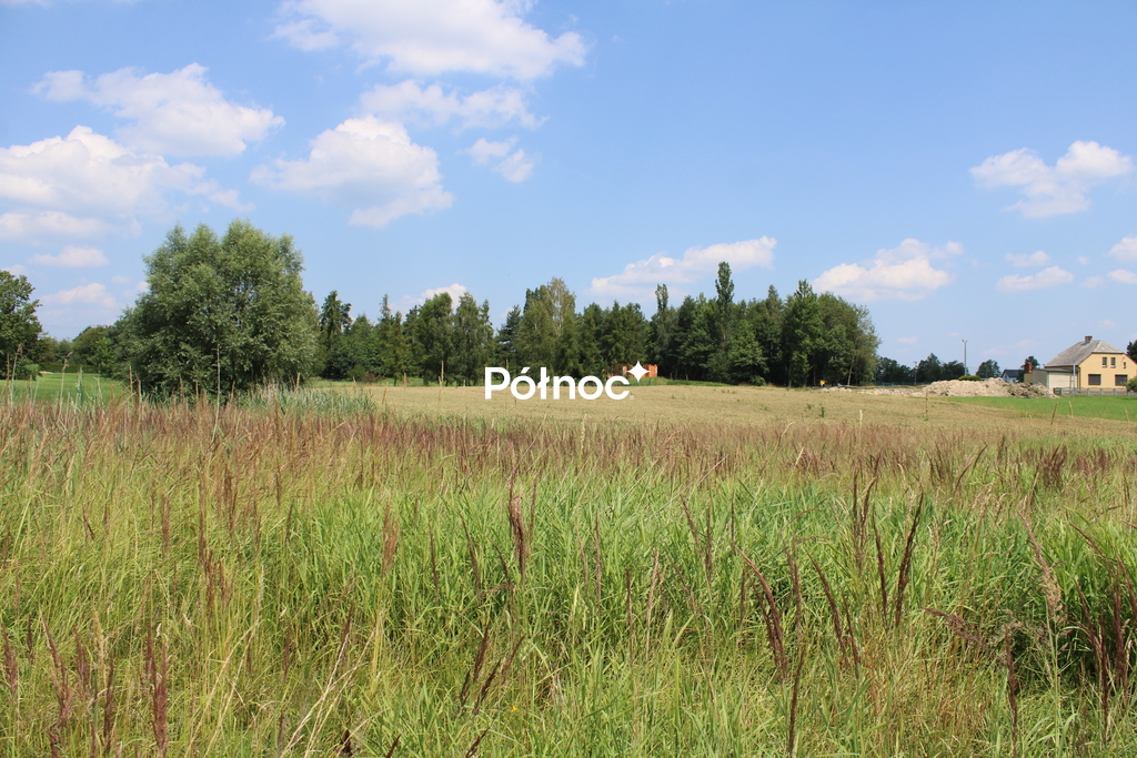 Zdjęcie 4