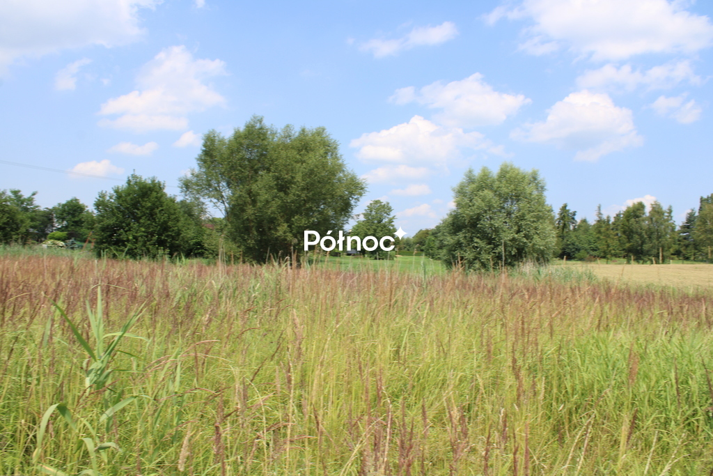 Zdjęcie 6