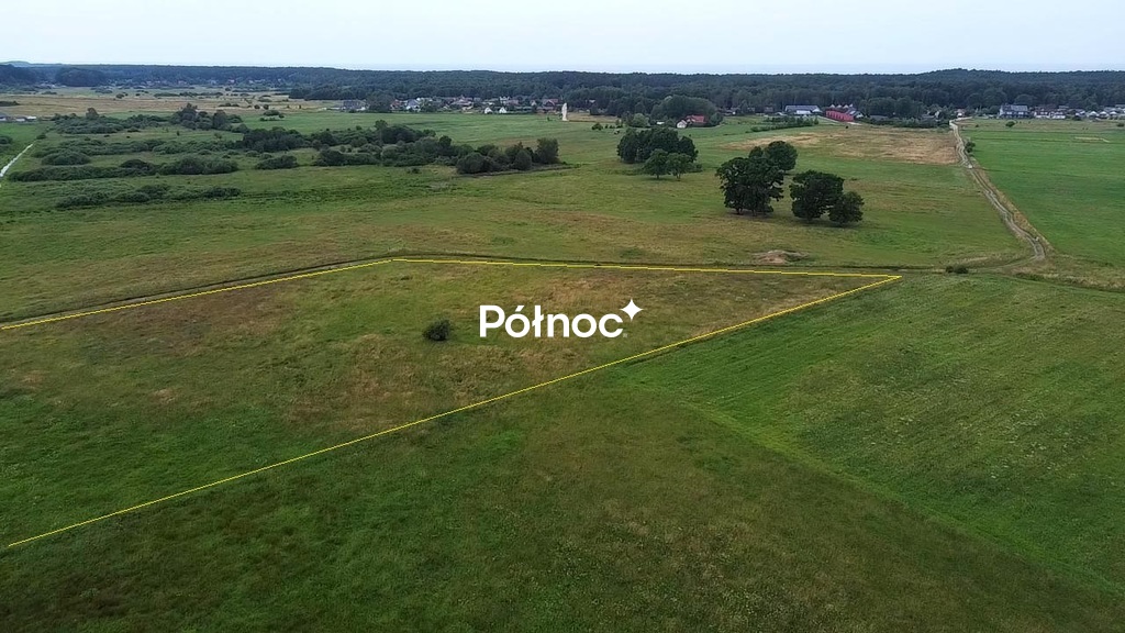Zdjęcie 4