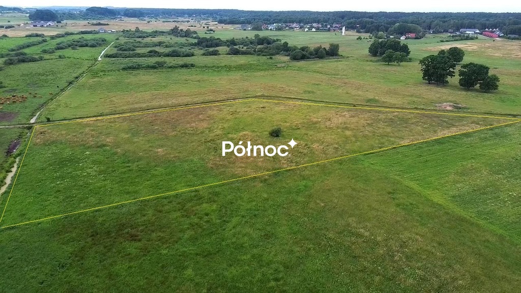 Zdjęcie 8