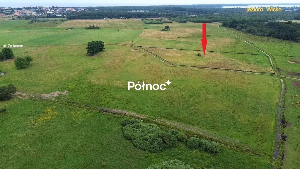 Zdjęcie 10