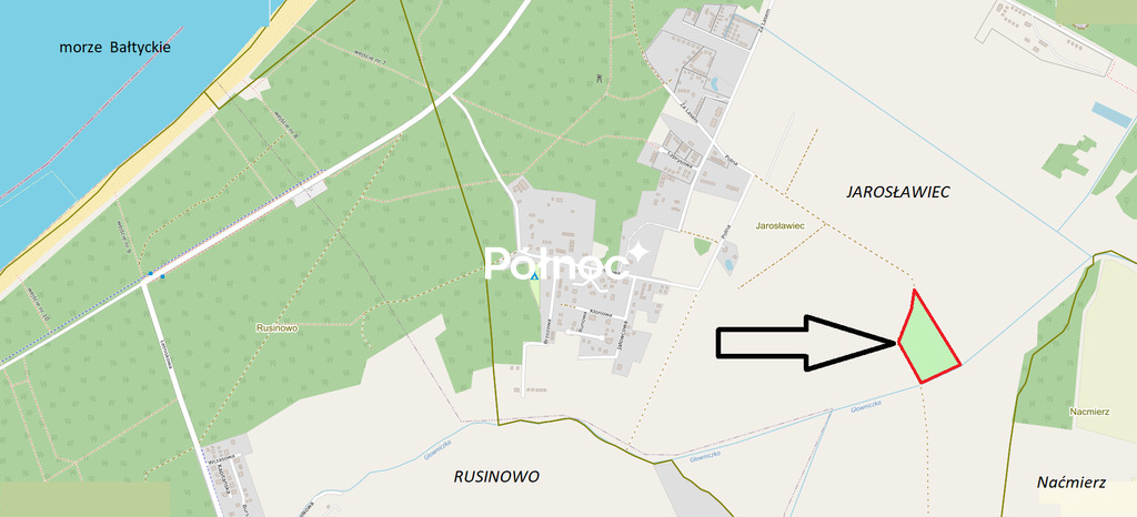 Zdjęcie 12