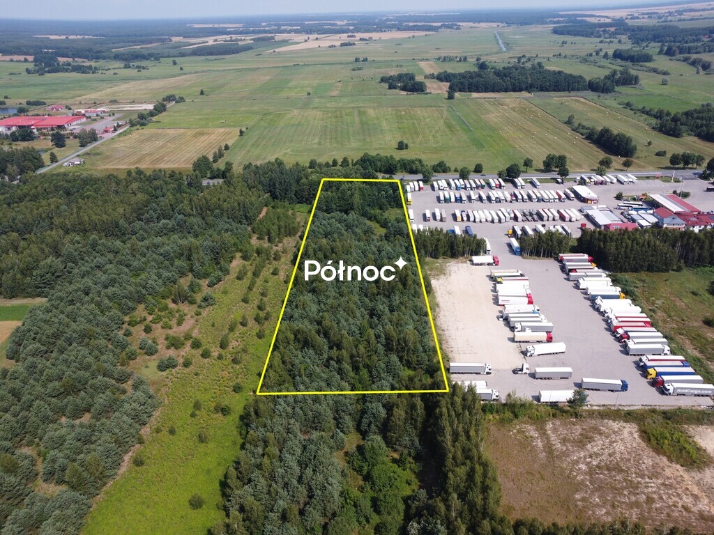 Zdjęcie 6
