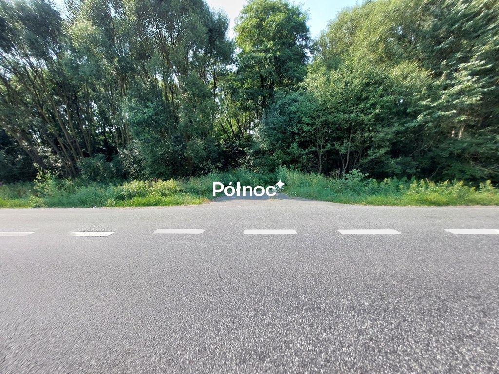 Zdjęcie 10