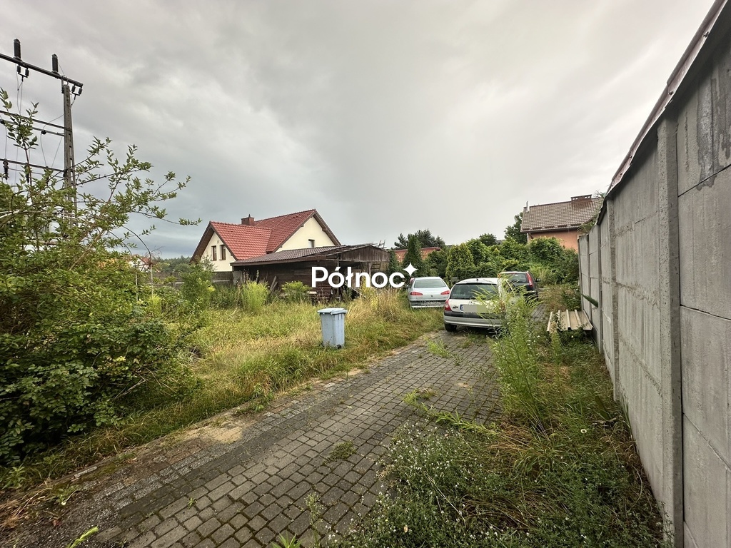 Zdjęcie 3