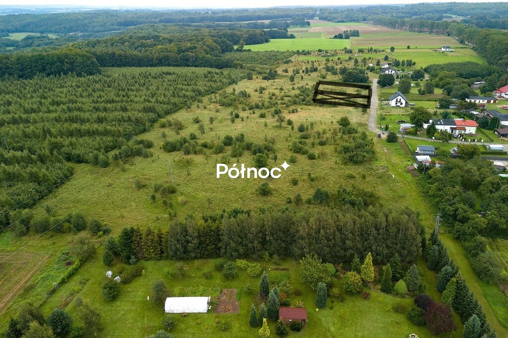 Zdjęcie 3